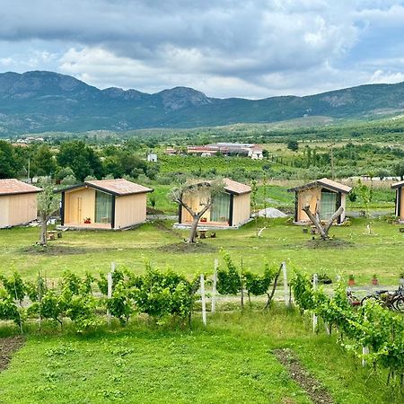 Fishta Guesthouse - Mrizi I Zanave Fishte 外观 照片