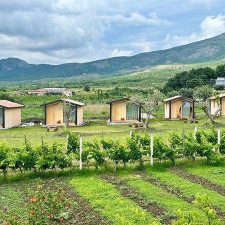 Fishta Guesthouse - Mrizi I Zanave Fishte 外观 照片