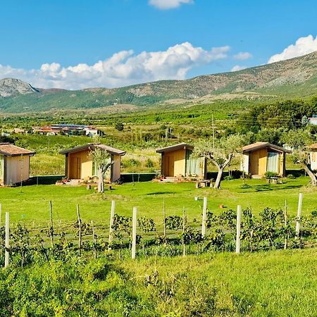 Fishta Guesthouse - Mrizi I Zanave Fishte 外观 照片