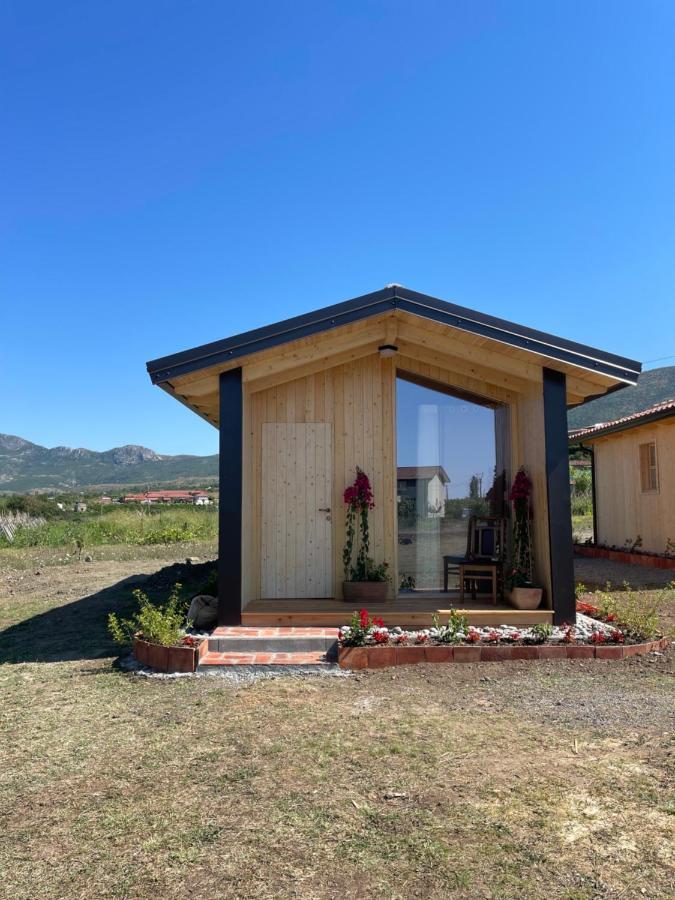 Fishta Guesthouse - Mrizi I Zanave Fishte 外观 照片