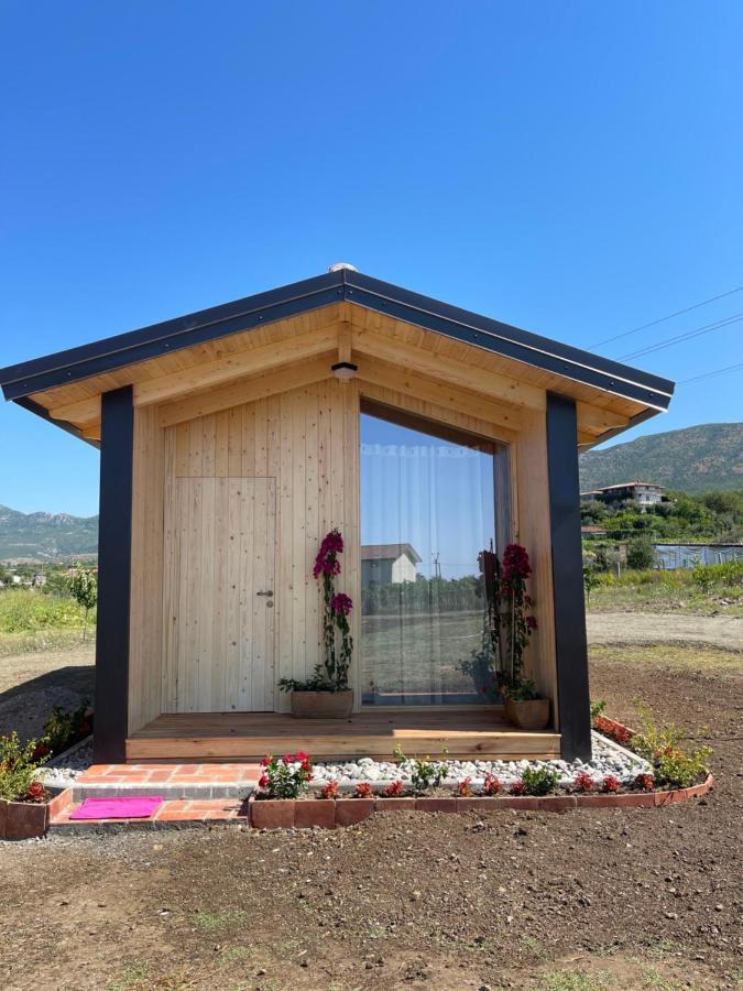 Fishta Guesthouse - Mrizi I Zanave Fishte 外观 照片