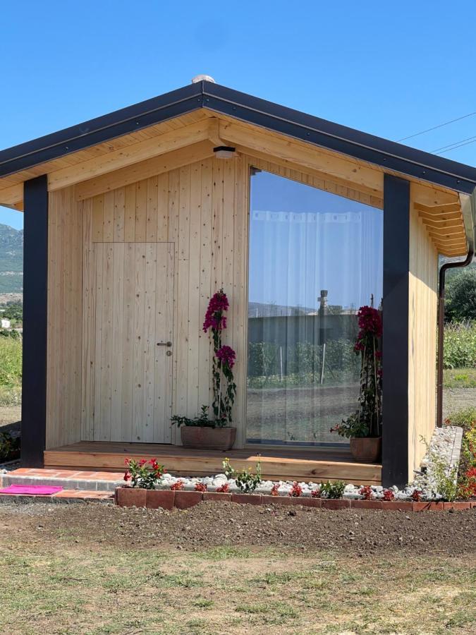 Fishta Guesthouse - Mrizi I Zanave Fishte 外观 照片