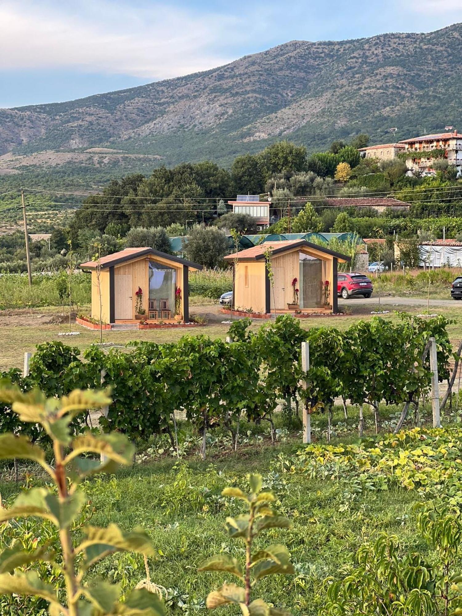 Fishta Guesthouse - Mrizi I Zanave Fishte 外观 照片