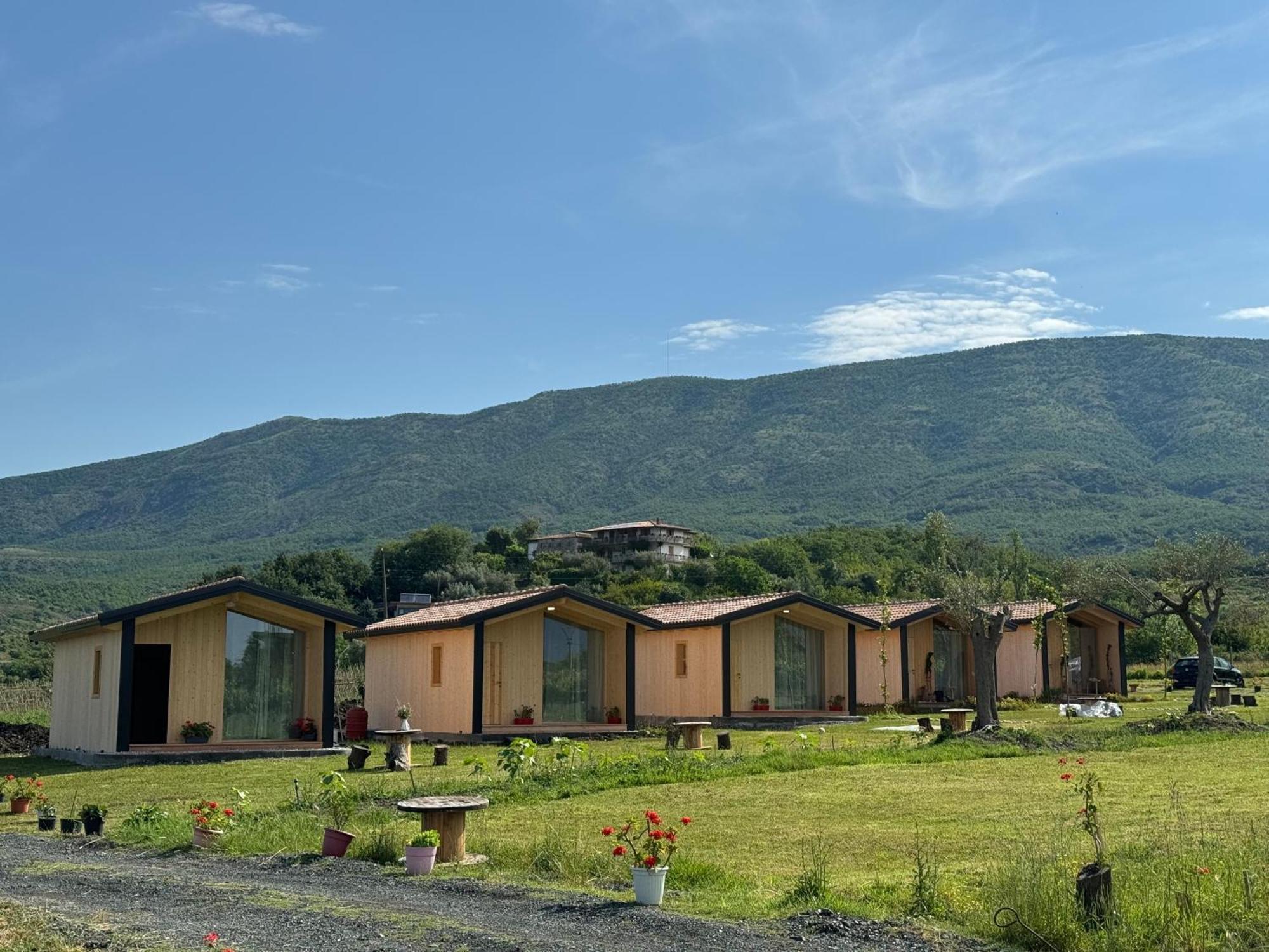 Fishta Guesthouse - Mrizi I Zanave Fishte 外观 照片