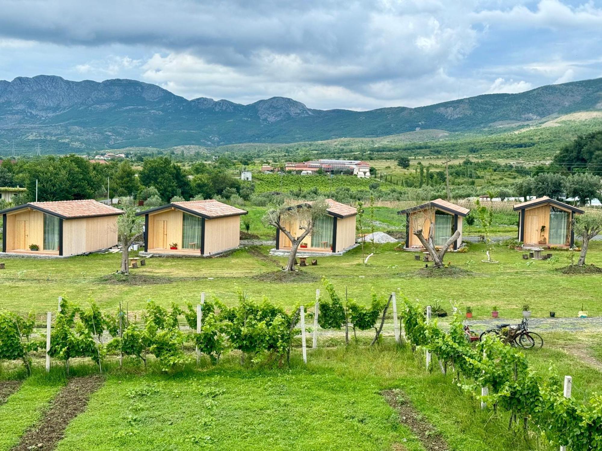 Fishta Guesthouse - Mrizi I Zanave Fishte 外观 照片