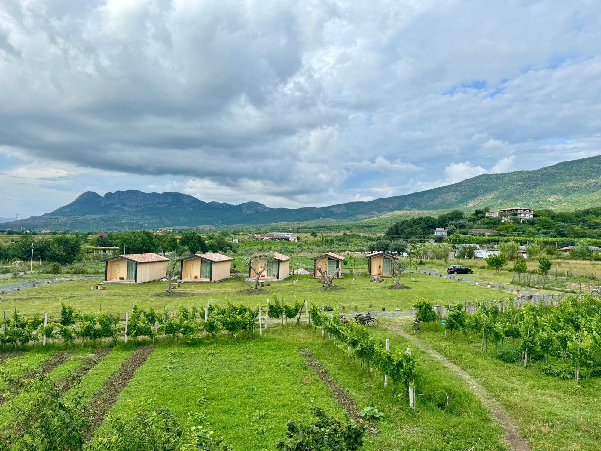 Fishta Guesthouse - Mrizi I Zanave Fishte 外观 照片
