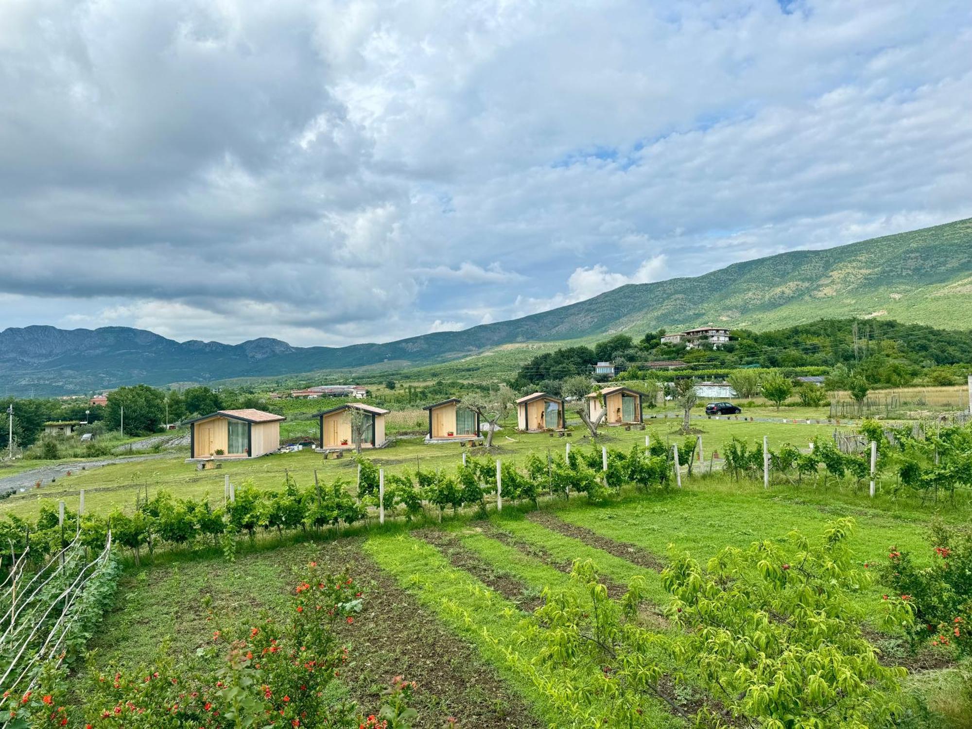 Fishta Guesthouse - Mrizi I Zanave Fishte 外观 照片