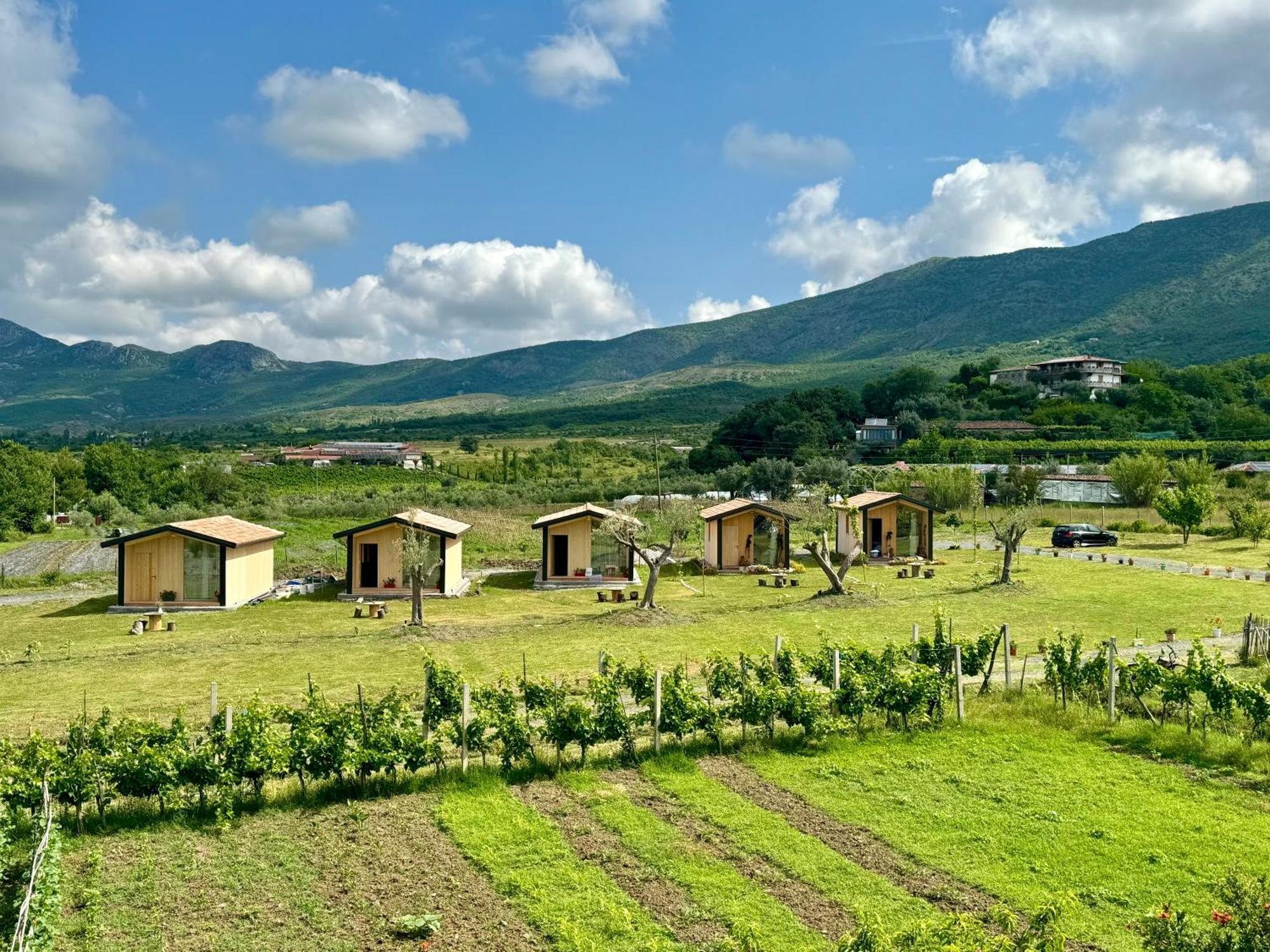 Fishta Guesthouse - Mrizi I Zanave Fishte 外观 照片