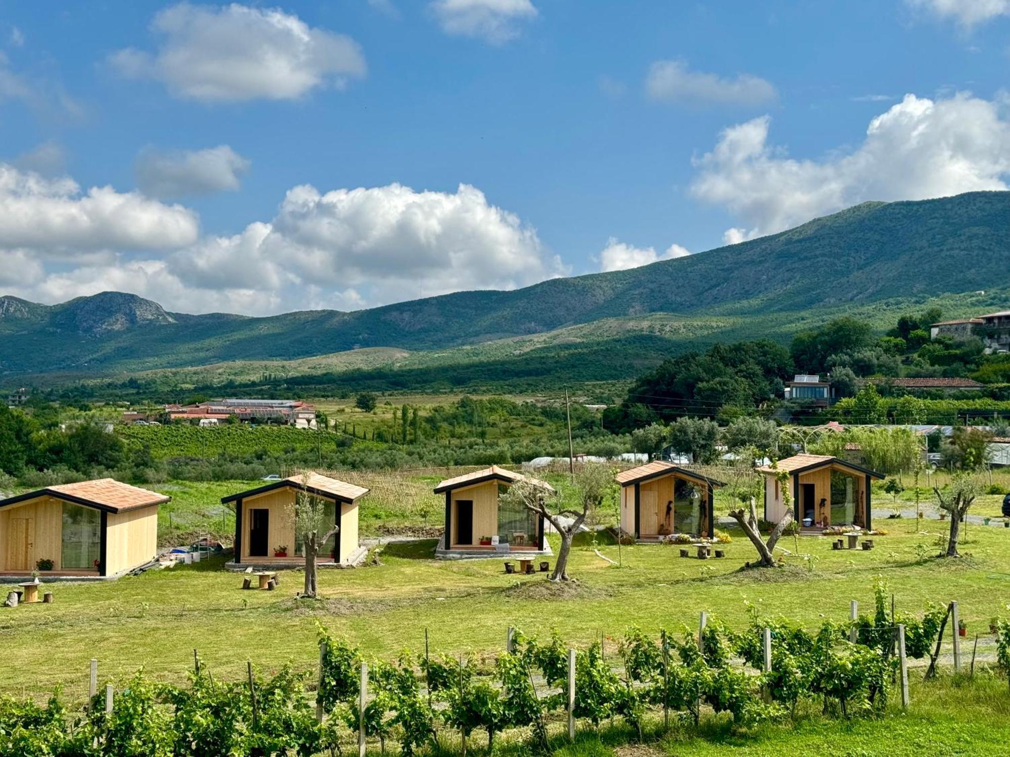 Fishta Guesthouse - Mrizi I Zanave Fishte 外观 照片