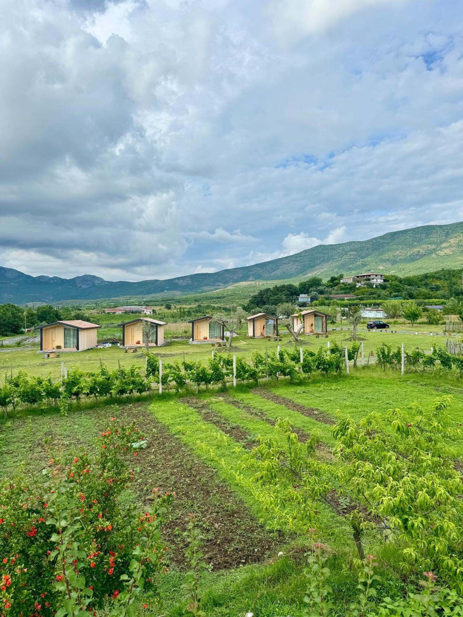 Fishta Guesthouse - Mrizi I Zanave Fishte 外观 照片