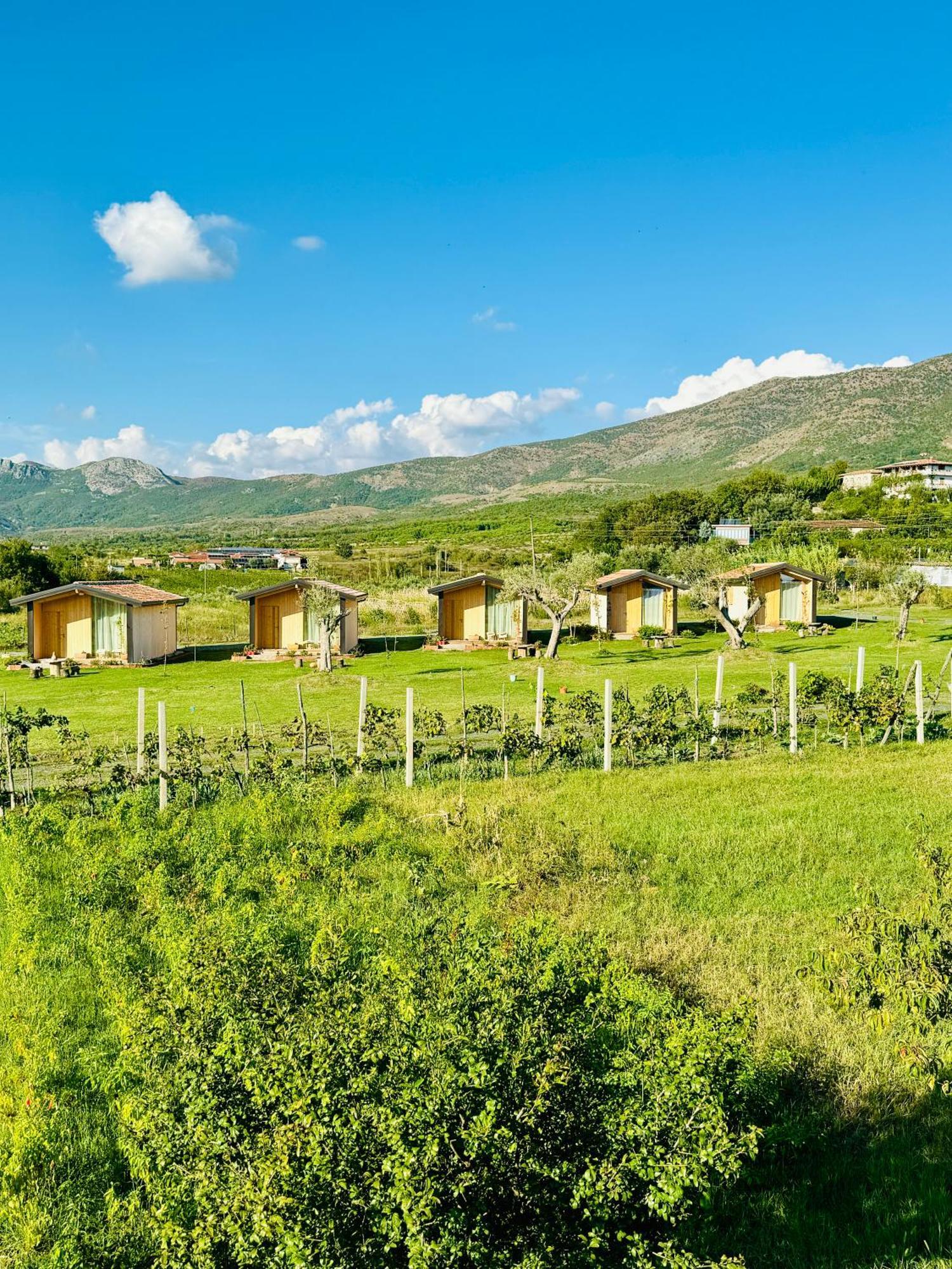 Fishta Guesthouse - Mrizi I Zanave Fishte 外观 照片