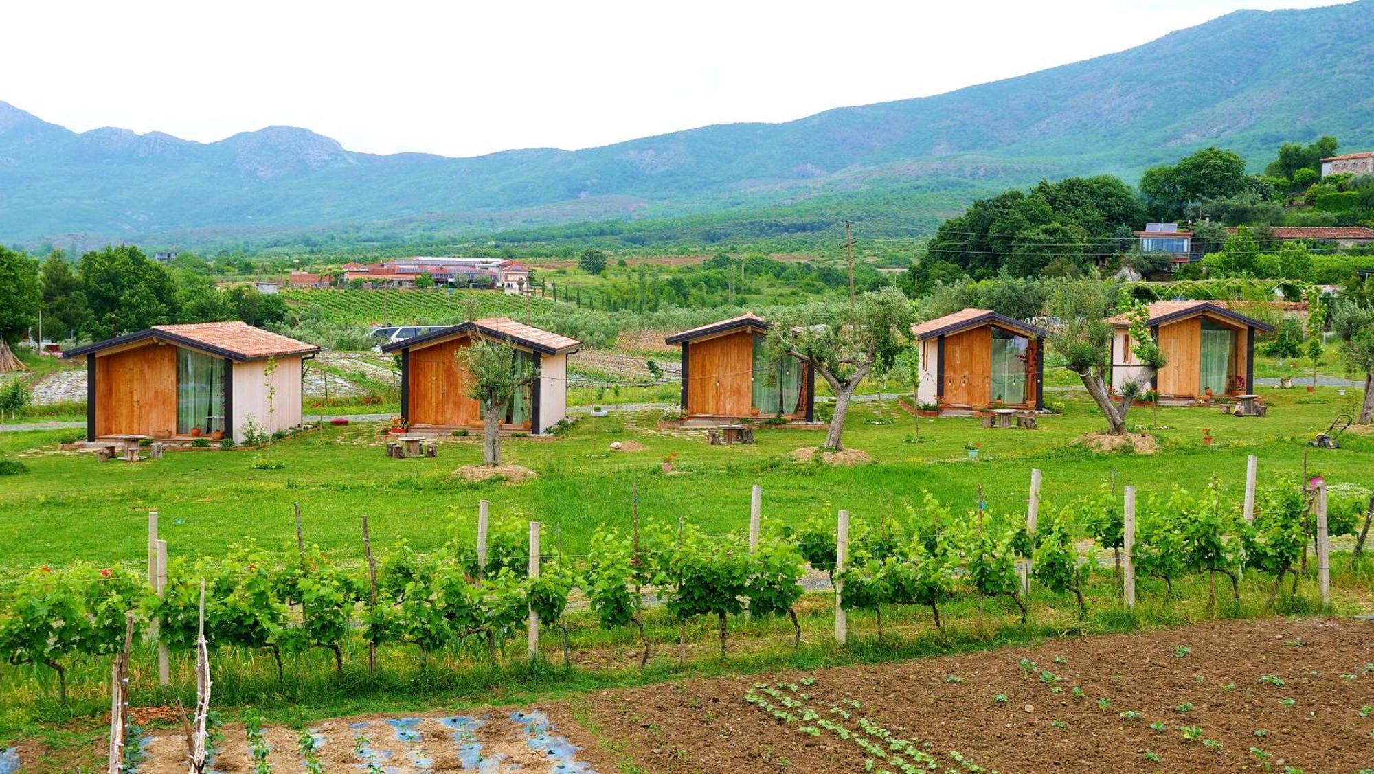 Fishta Guesthouse - Mrizi I Zanave Fishte 外观 照片